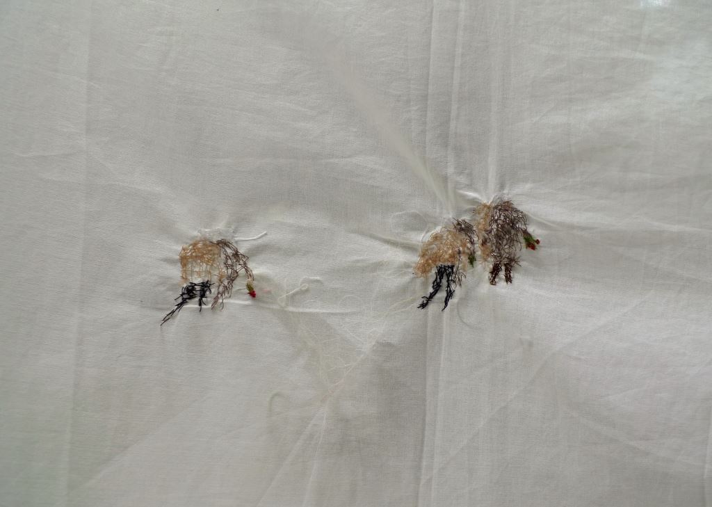 Cécile Belmont: Reisestickerei [Rostock], 2014, Detail, Faden auf Stoff, 120 x 144 cm