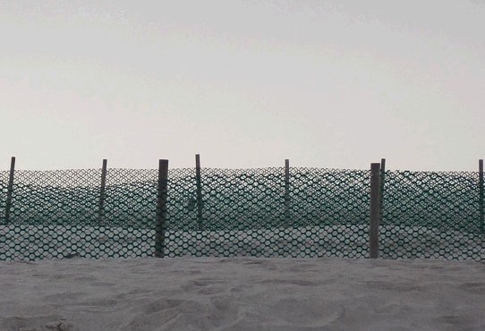Friederike Haerter: o.T., 2014, Fotografie