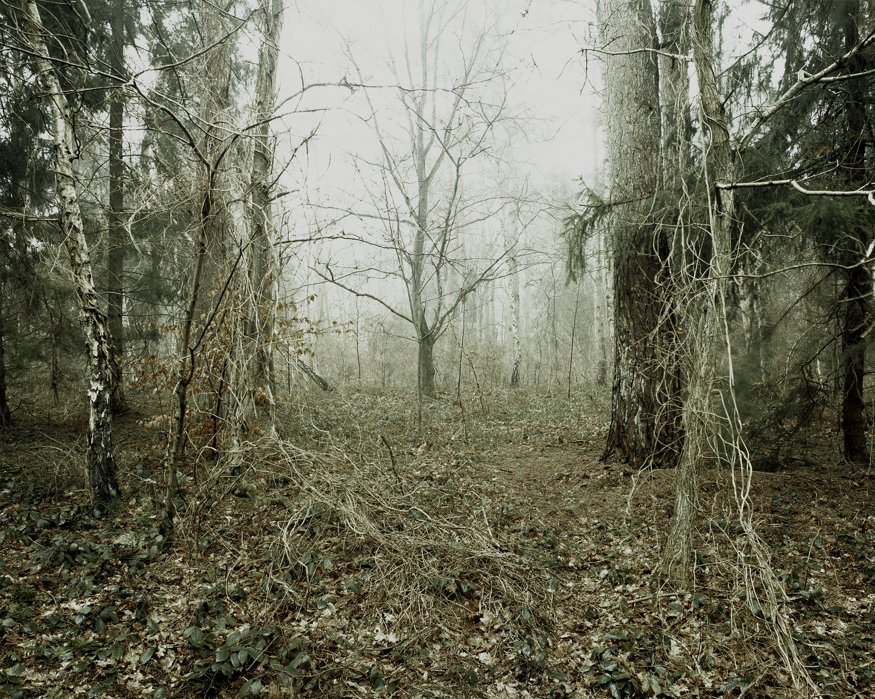 Carola Weider, Bildmaterial: Prora, Foto: Arnd Weider
