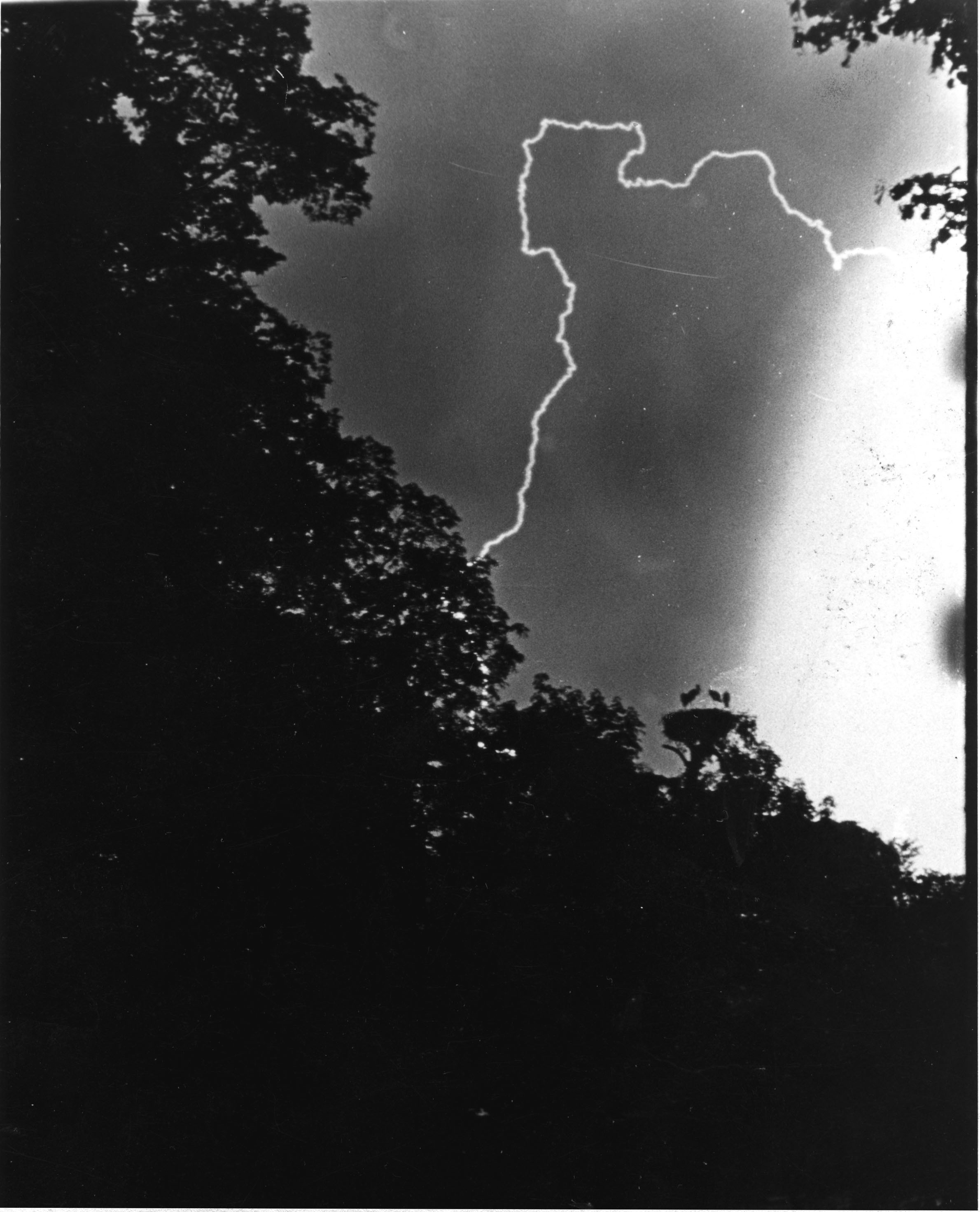 Annette Frick: Storchennest, 1974, Fotografie © VG Bildkunst, Bonn 2021.